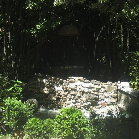 Villa Patrizia B&B Lucca Buitenkant foto