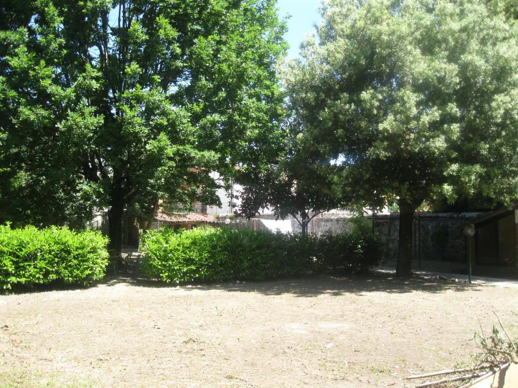 Villa Patrizia B&B Lucca Buitenkant foto